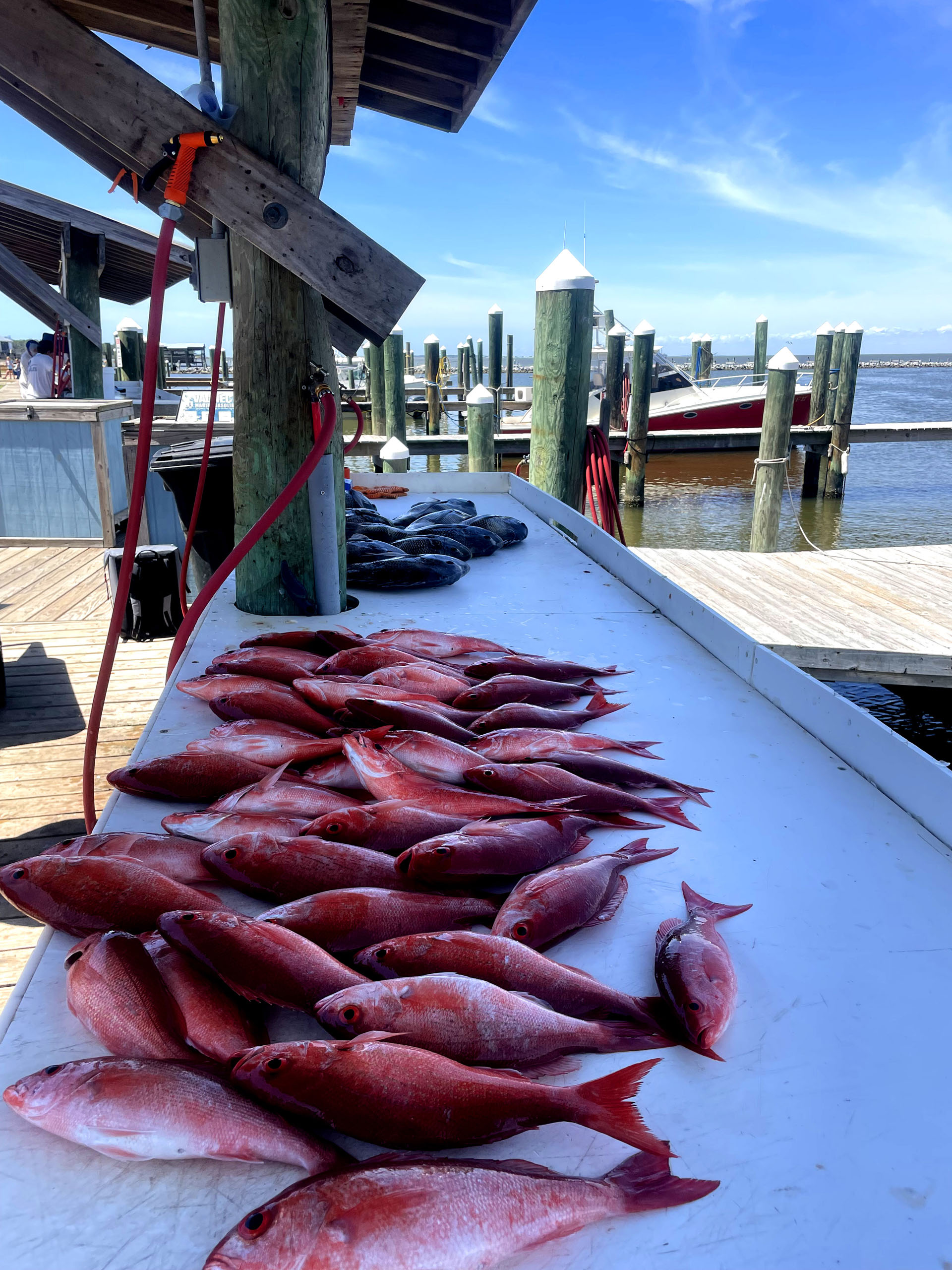 Offshore Fishing